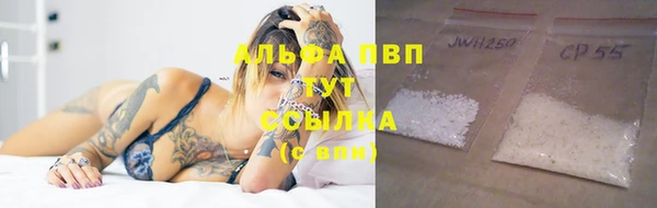 сатива Арсеньев