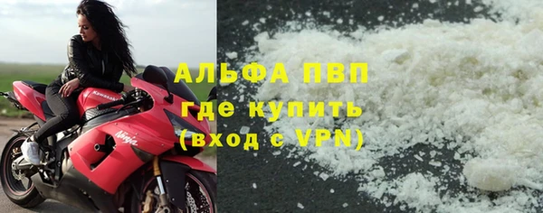 сатива Арсеньев